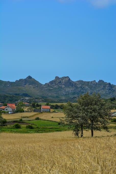 Casa Fonte Fria Βίλα Pitoes das Junias Εξωτερικό φωτογραφία